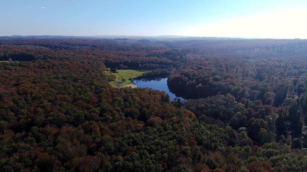 Bosque de Fougères en Landéan