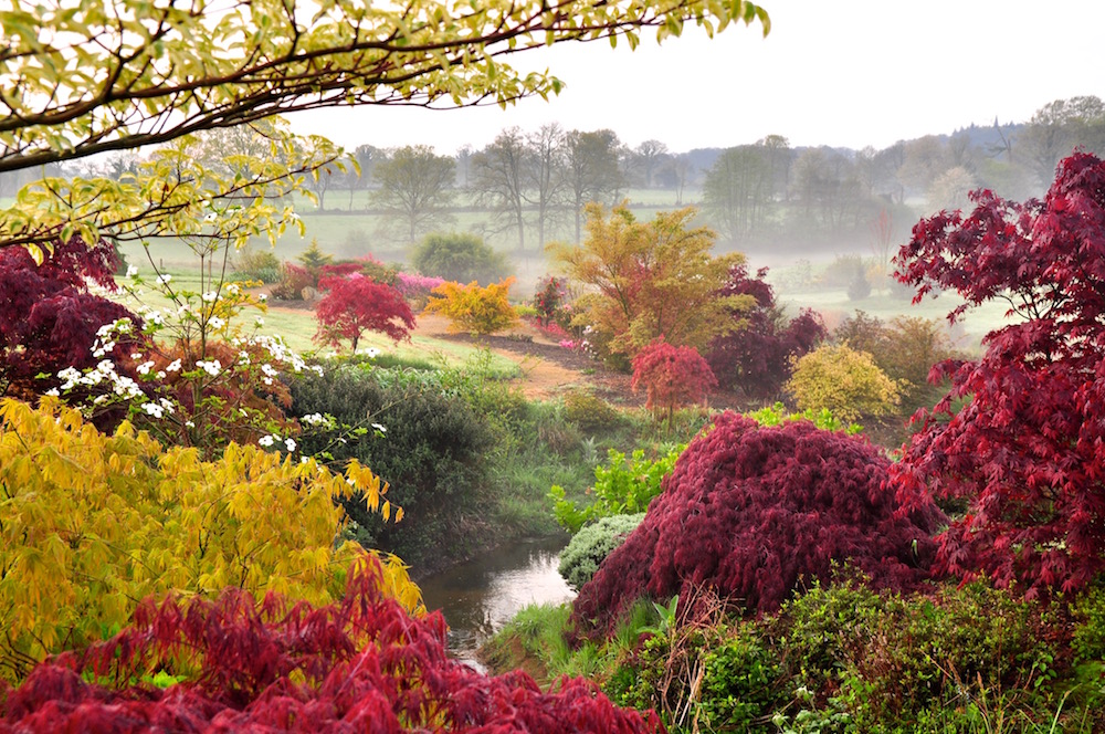 Parc Botanique de Haute Bretagne