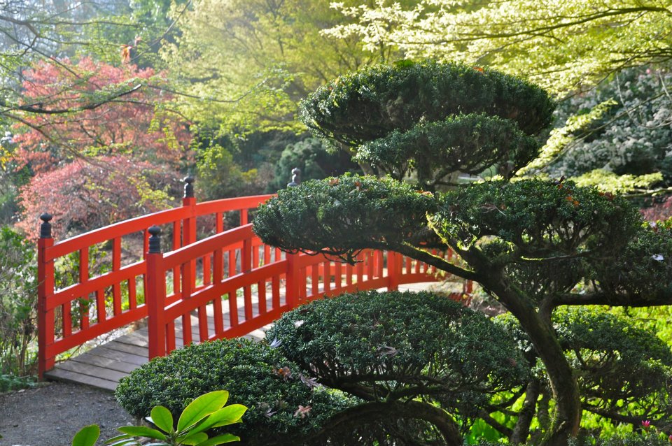 Botanischer Park der Haute-Bretagne