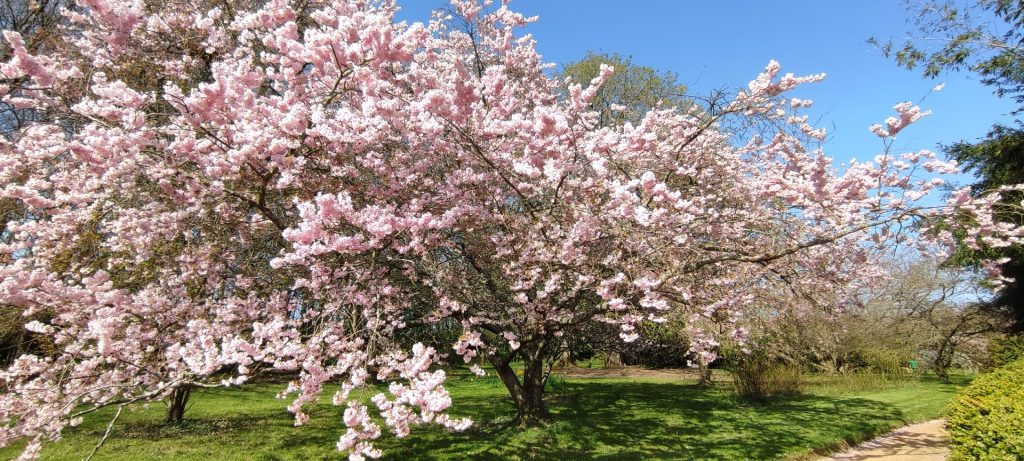 Botanischer Park der Haute-Bretagne