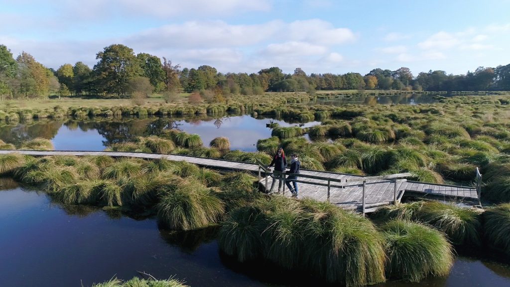 Landemarais peat bog in Parigné