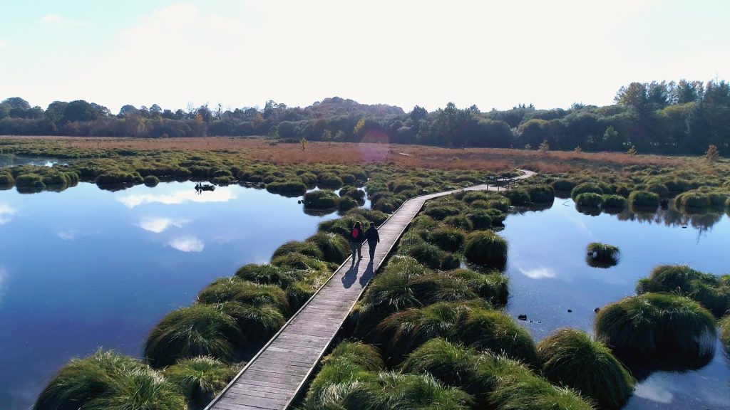 Landemarais peat bog in Parigné