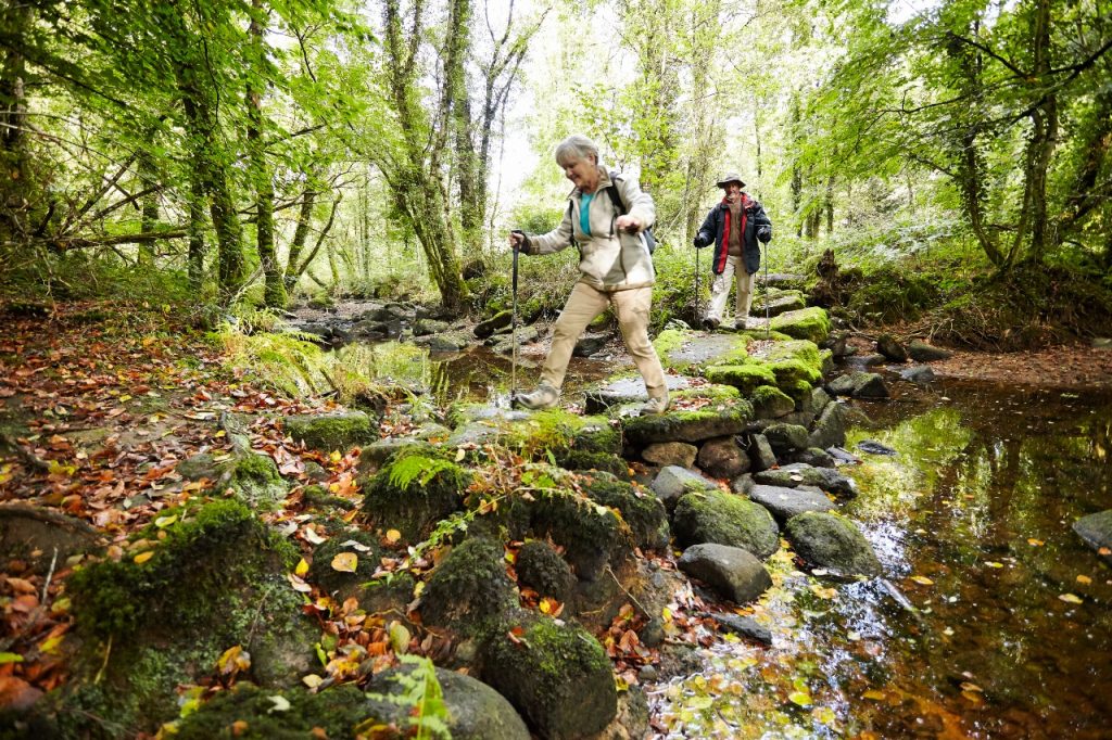 wanderdestination-fougeres-tourismus