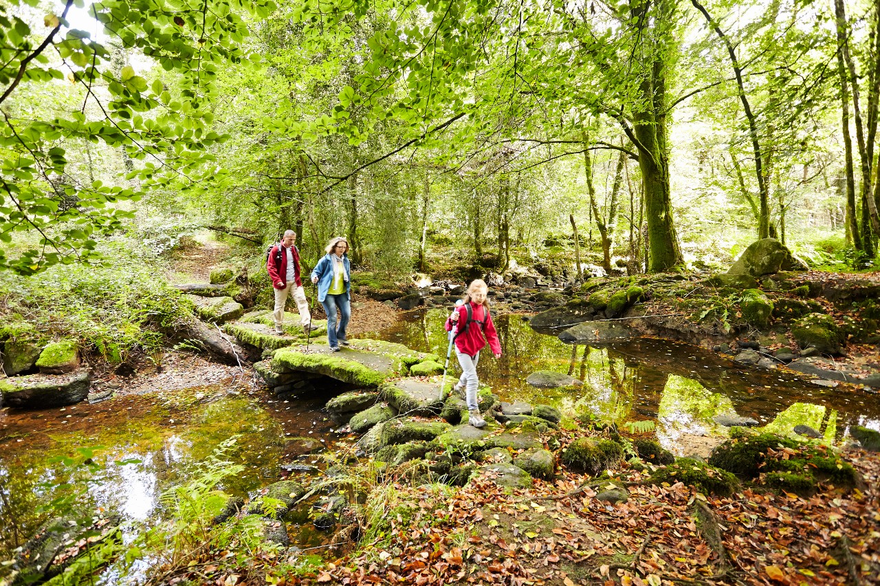 wanderdestination-fougeres-tourismus