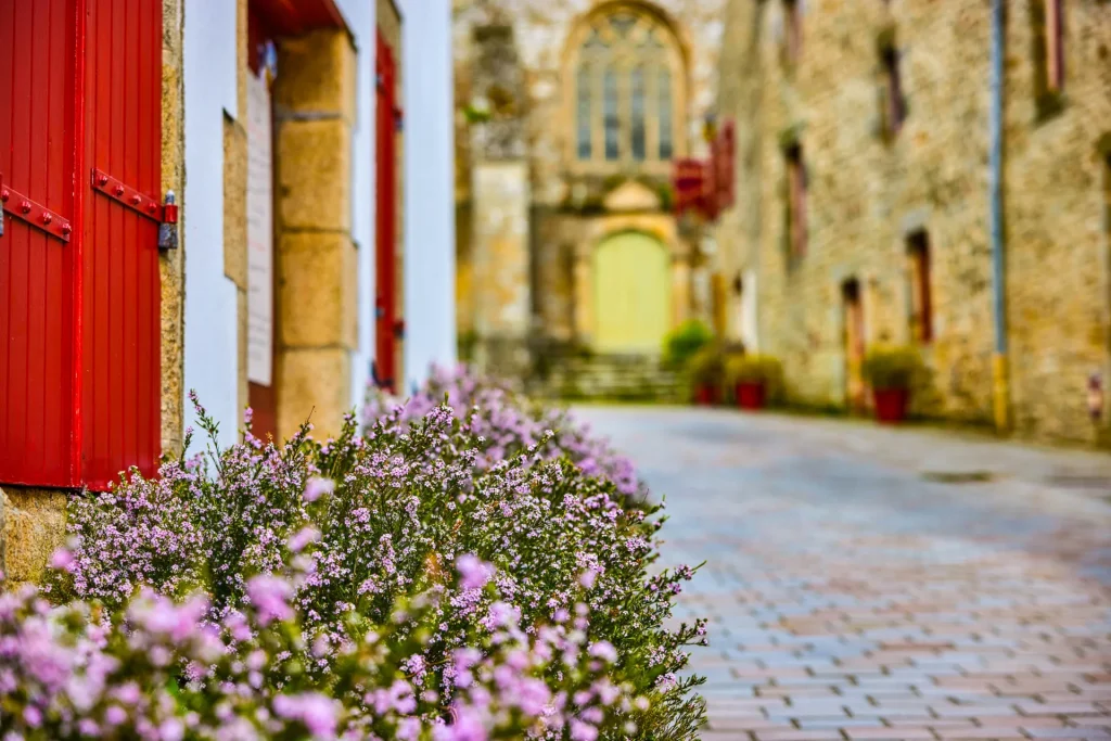 Bruyères rose et violette dans un coin de mur entre la rue pavée et les murs de vielle ville avec un grand bâtiment avec vitraux au fond de la rue. 