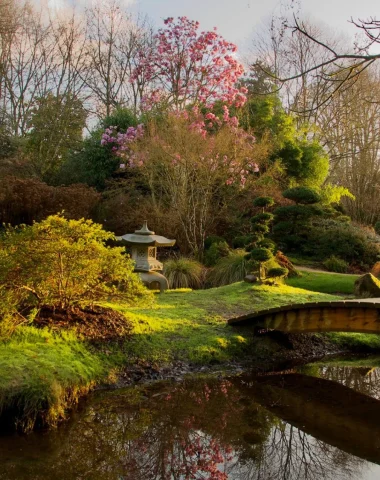 Jardín japonés PBHB